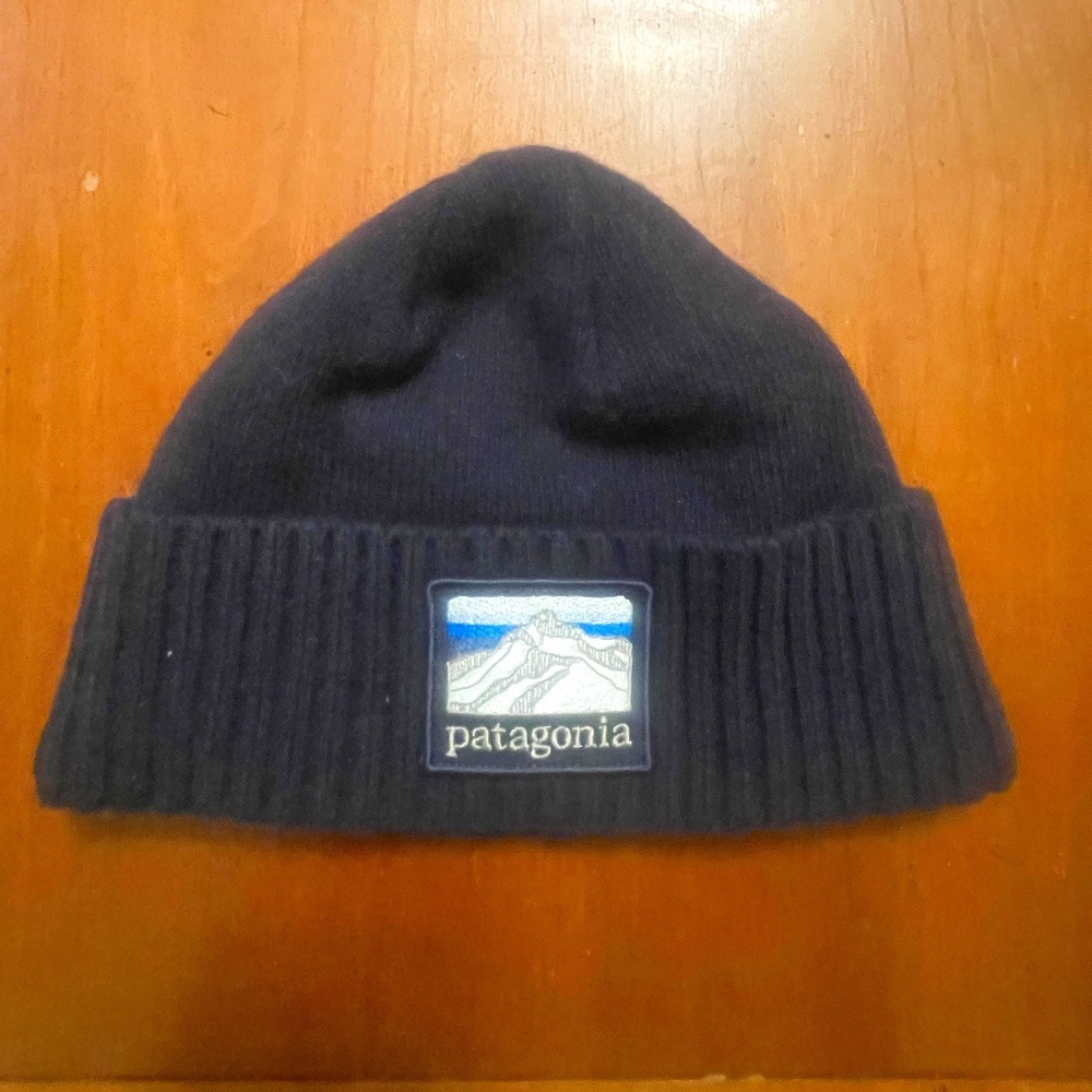 Patagonia Beanie